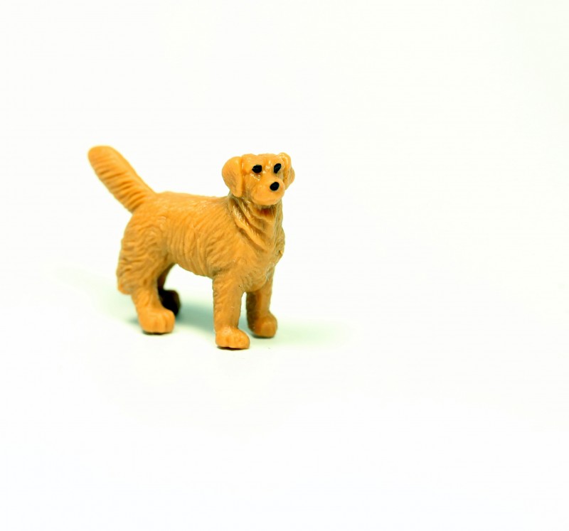 Safari Golden Retriever 3491e