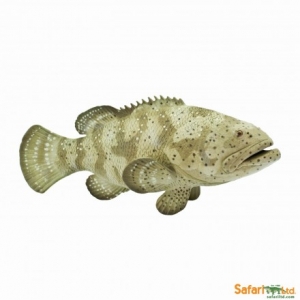 Safari Goliath-Barsch 2653 Seetiere