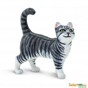 Safari Hunde Best in Show: Safari Grau Getiegerte Katze 00128