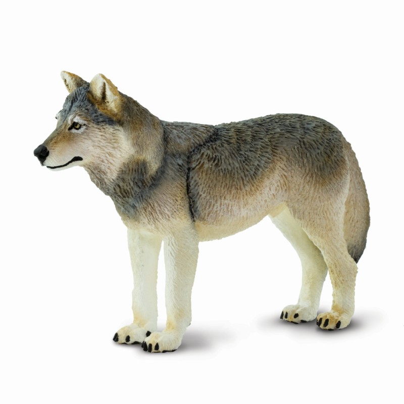 Safari Grauer Wolf 100509