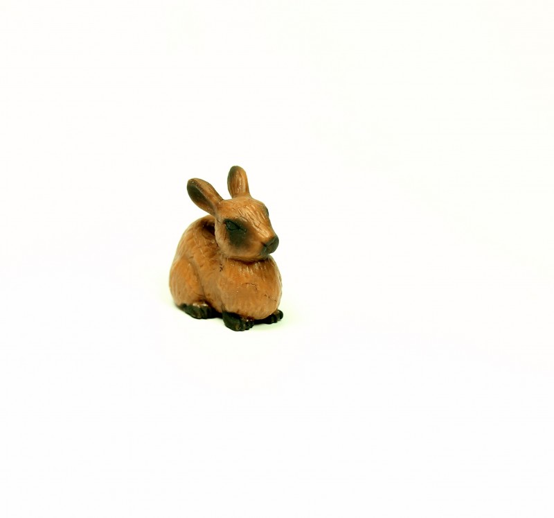 Safari Hase 3454e