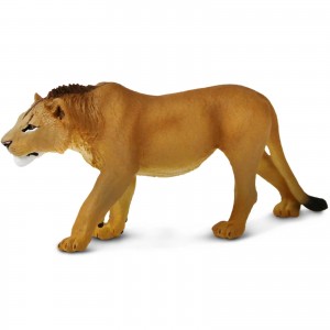 Safari Wildtiere: Safari Heranwachsender m�nnlicher L�w