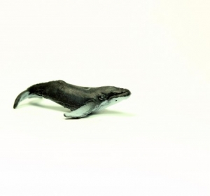Safari Good Luck Minis: Safari Safari Humpback Whale 3508e