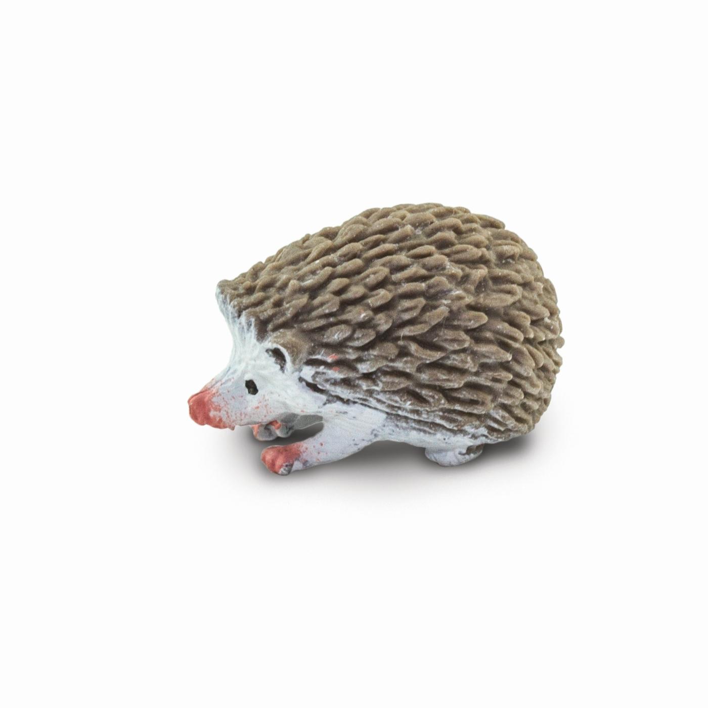 Safari Igel 100404