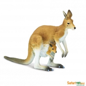 Safari Wild Life: Safari Kangaroo with baby 00108