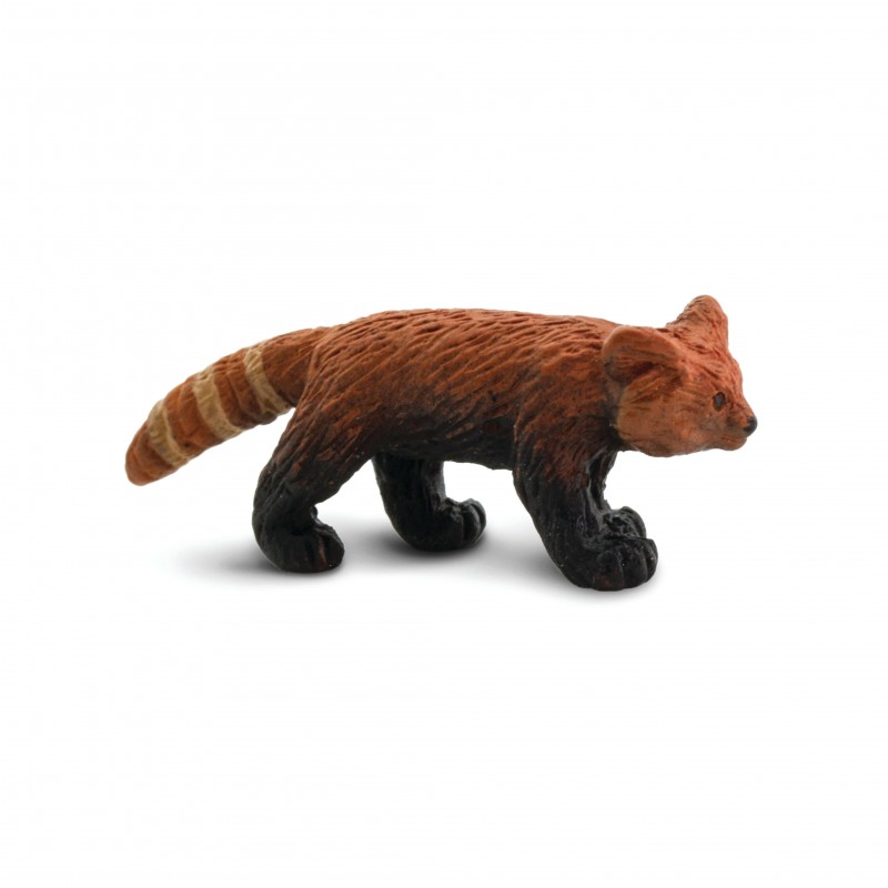 Safari Katzenb�r 100322