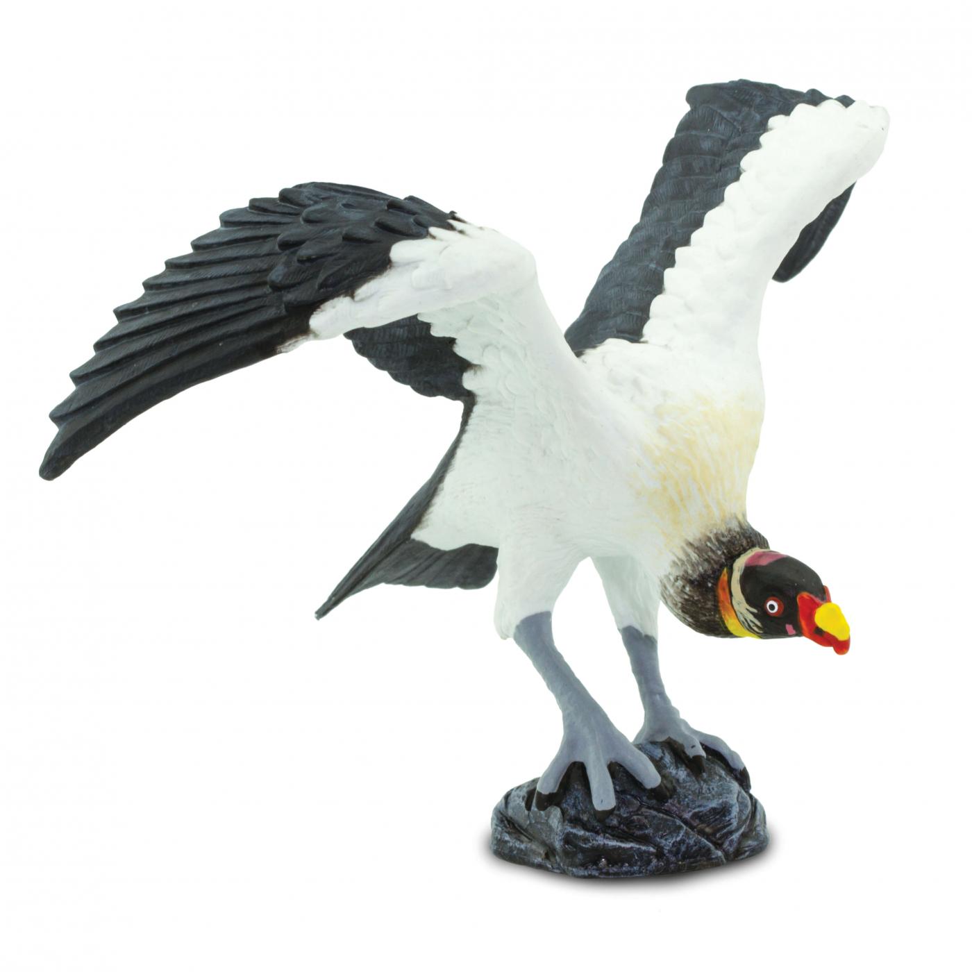 King Vulture 2019 Safari Ltd Wings of The World 100270 for sale online