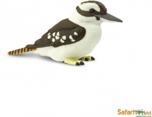 Safari Wings of the Worlds: Safari Kookaburra 151129