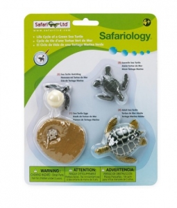 Safari  6623 Lebenszyklus einer Seeschildkr�te - Wissenschaft