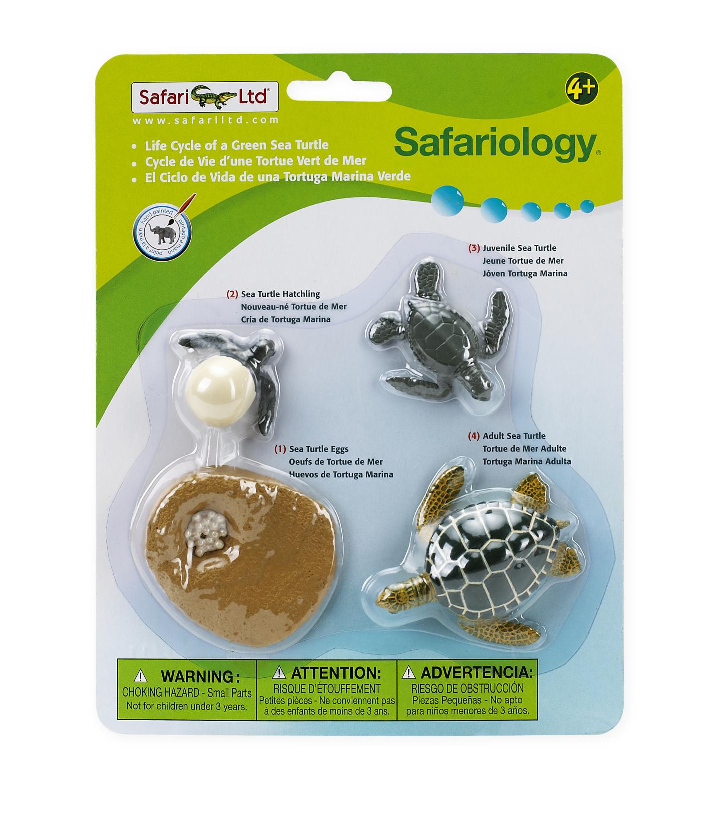 Safari Lebenszyklus einer Seeschildkr�te 6623 ca.23x18x2.1cm