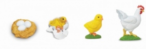 Safari  6628 Lebenszyklus eines Huhn Wissenschaft bei spielzeug-guenstig.de