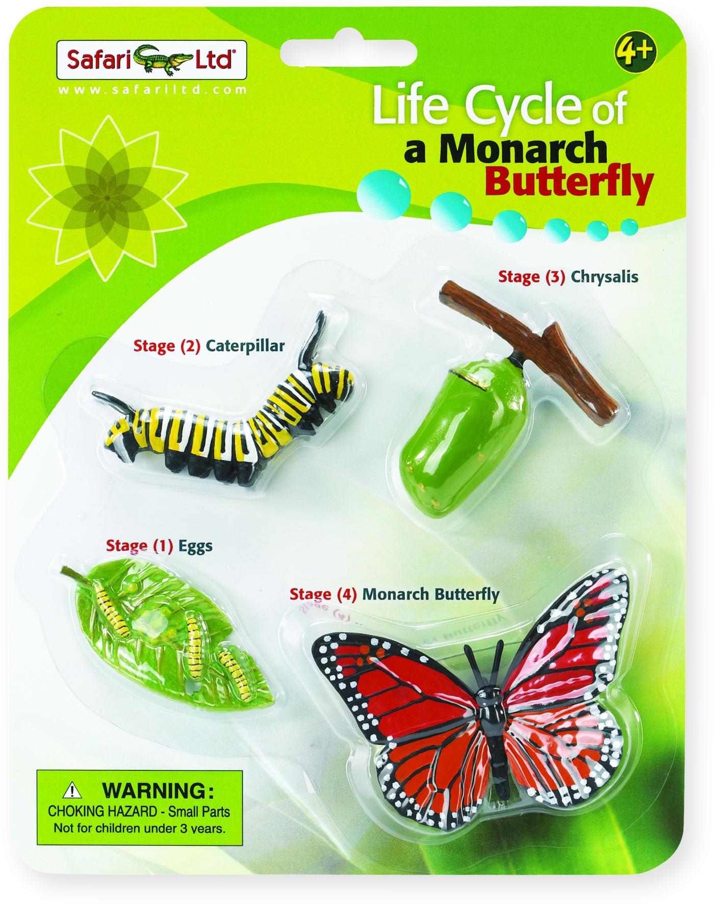 Lebenszyklus eines Monarchfalters Set S622616 Safari Wissenschaft 
