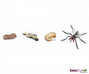 Safari  6626 Lebenszyklus eines Moskito - Wissenschaft bei spielzeug-guenstig.de