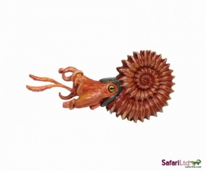 Safari Ltd  3034 Ammonite - animal figures at spielzeug-guenstig.de
