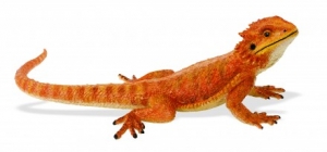 Safari Ltd  2631 B�rtige Echse - Tierfiguren bei spielzeug-guenstig.de