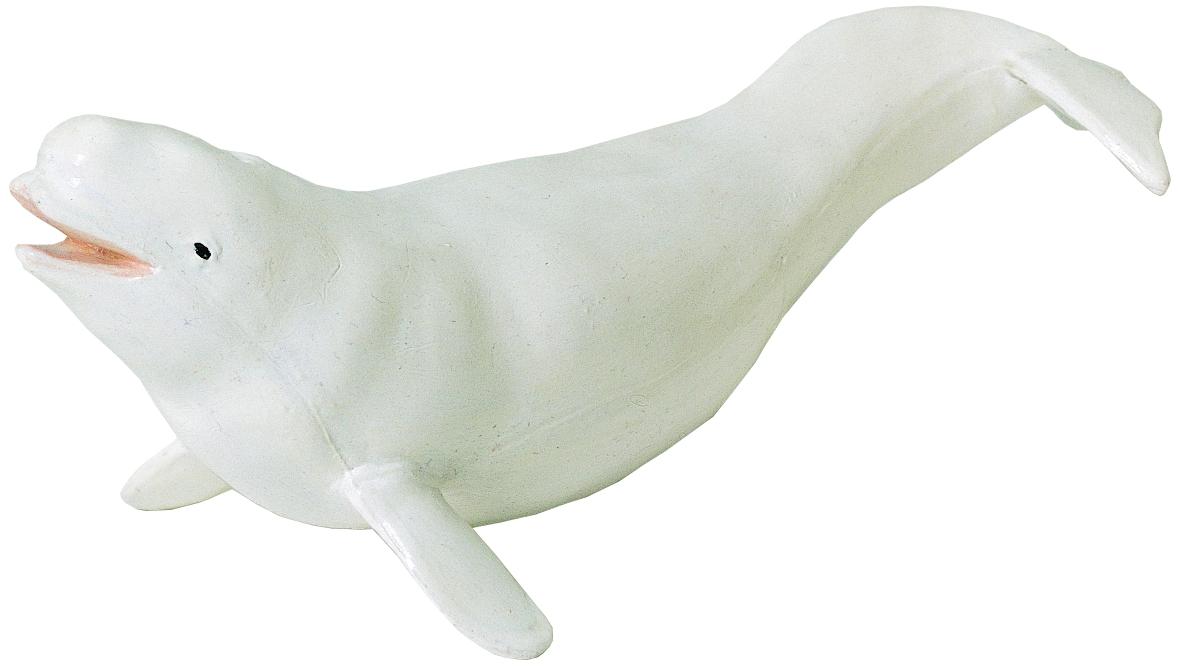 Beluga Whale Wildlife Figure 211002 New Free Shipping Details about   Safari Ltd 