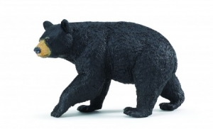 Safari Ltd  2735 Black Bear - animal figures at spielzeug-guenstig.de
