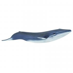 Safari Ltd  2232 Blauwal - Tierfiguren - Figuren bei spielzeug-guenstig.de