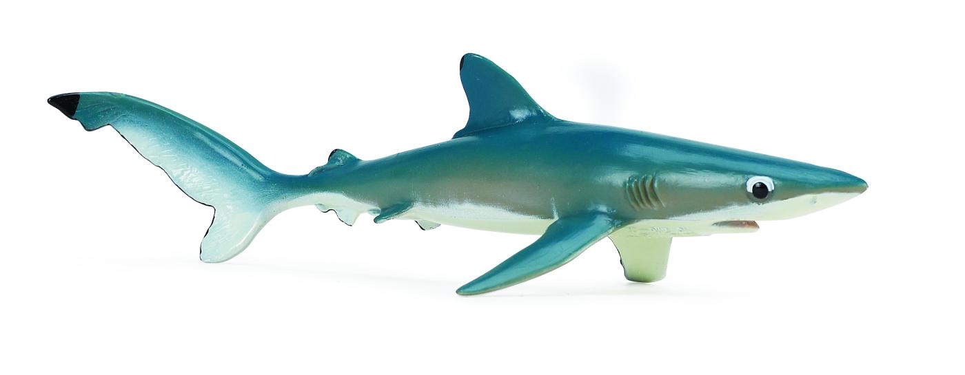 safari ltd blue shark