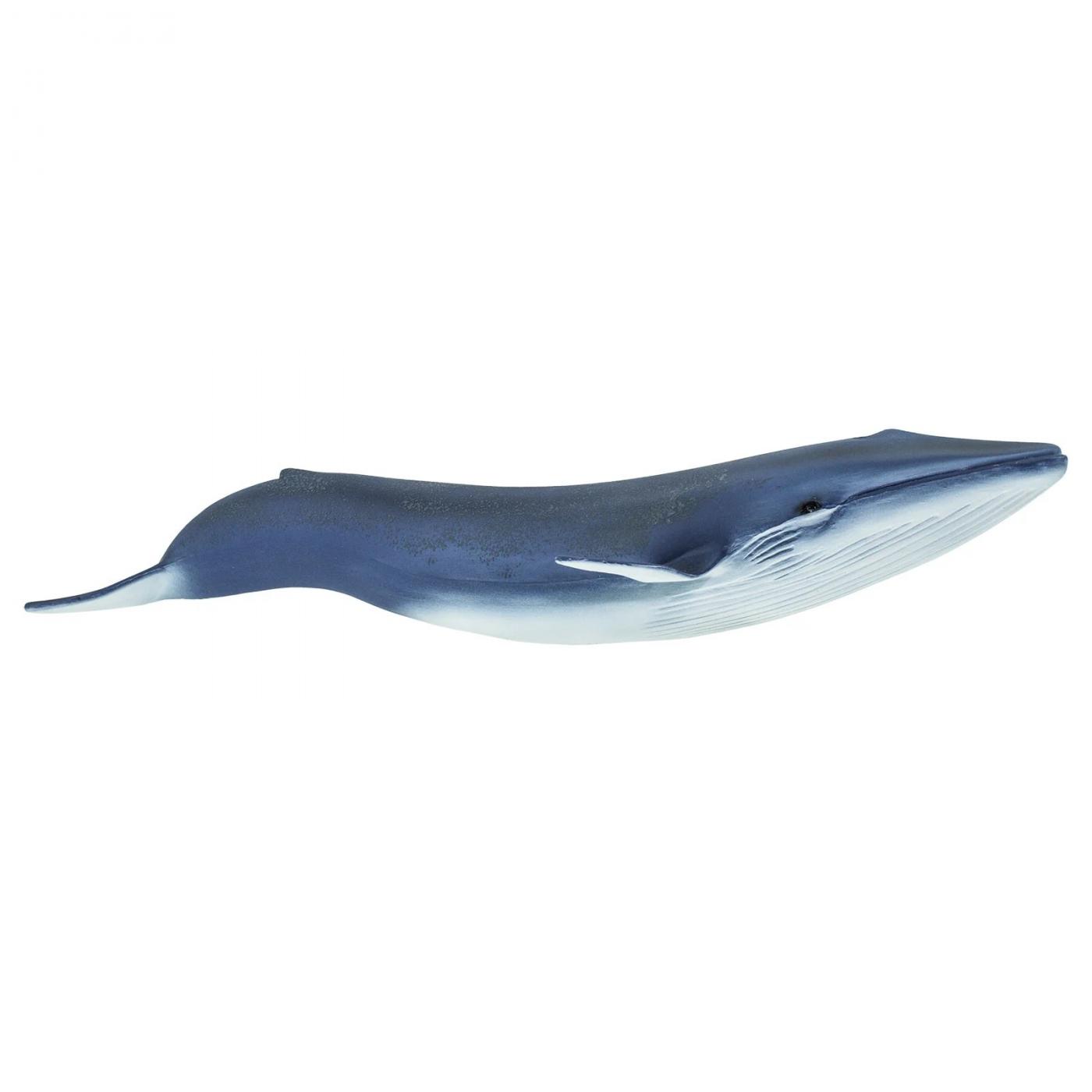 Safari Ltd Blue Whale 223229