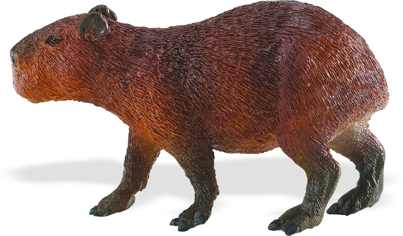 CollectA Capybara