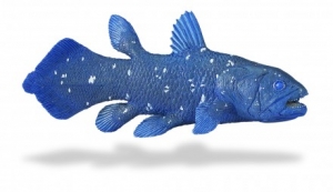 Safari Ltd  2857 Coelacanth - animal figures at spielzeug-guenstig.de