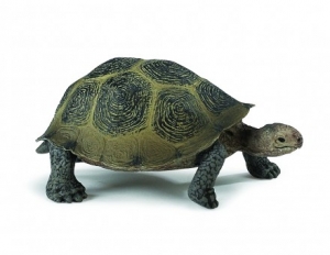 Safari Ltd  2953 desert Tortoise - animal figures at spielzeug-guenstig.de
