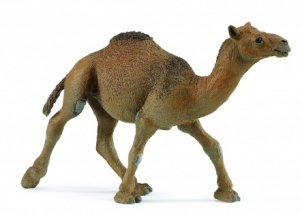 Safari Ltd  2224 dromedary - animal figures at spielzeug-guenstig.de