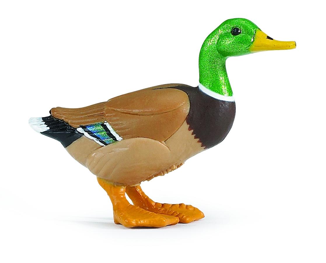 Safari Ltd Duck 233229