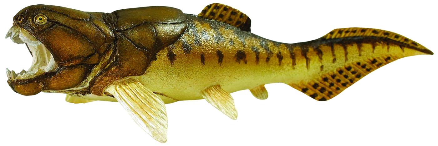 dunkleosteus figure