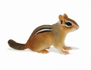 Safari Ltd  2630 Chipmunk Baby - animal figures at spielzeug-guenstig.de