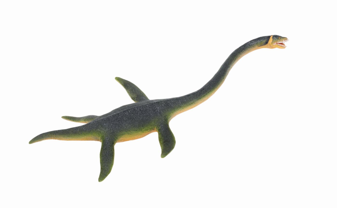 Safari Ltd Elasmosaurus 3024 ca.25x11.5x2.5cm