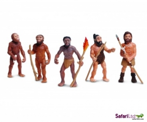 Safari Ltd  6638 Evolution des Menschen - Wissenschaft bei spielzeug-guenstig.de