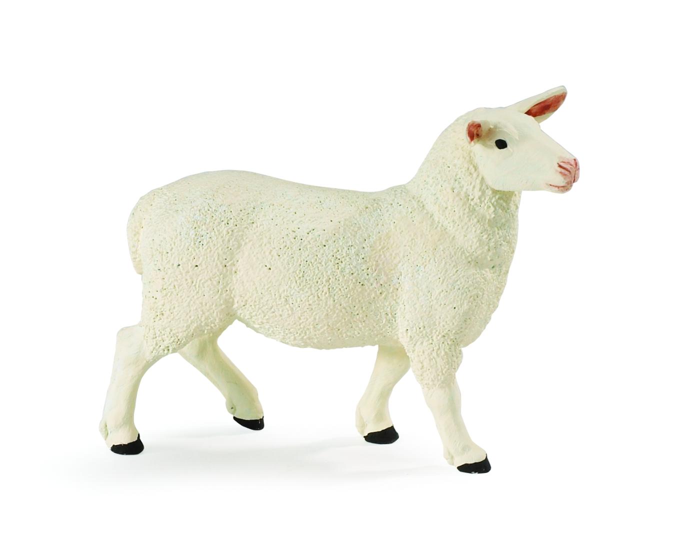 Safari Ltd Ewe 246129