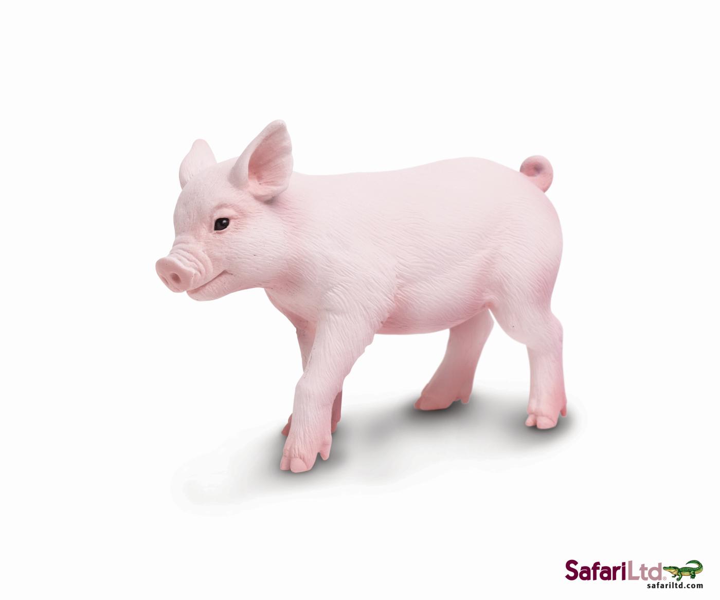 Safari Ltd Ferkel 2654 ca.12x7.75cm