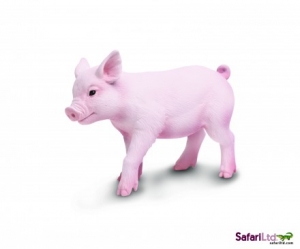 Safari Ltd  2654 Ferkel - Tierfiguren - Figuren bei spielzeug-guenstig.de