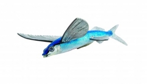 Safari Ltd  2635 Fliegender Fisch - Tierfiguren bei spielzeug-guenstig.de