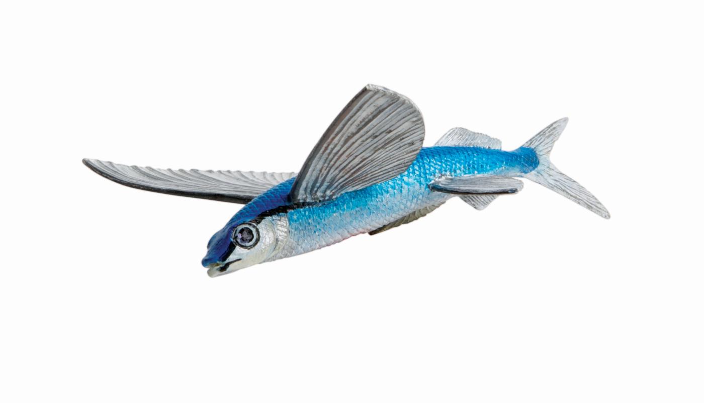 Safari Ltd Flying Fish 263529