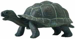 Safari Ltd  2608 Galapagos Schildkr�tenbaby - Figuren bei spielzeug-guenstig.de