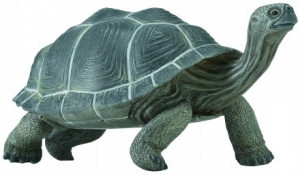 Safari Ltd  2607 Galapagos tortoise - animal figures at spielzeug-guenstig.de