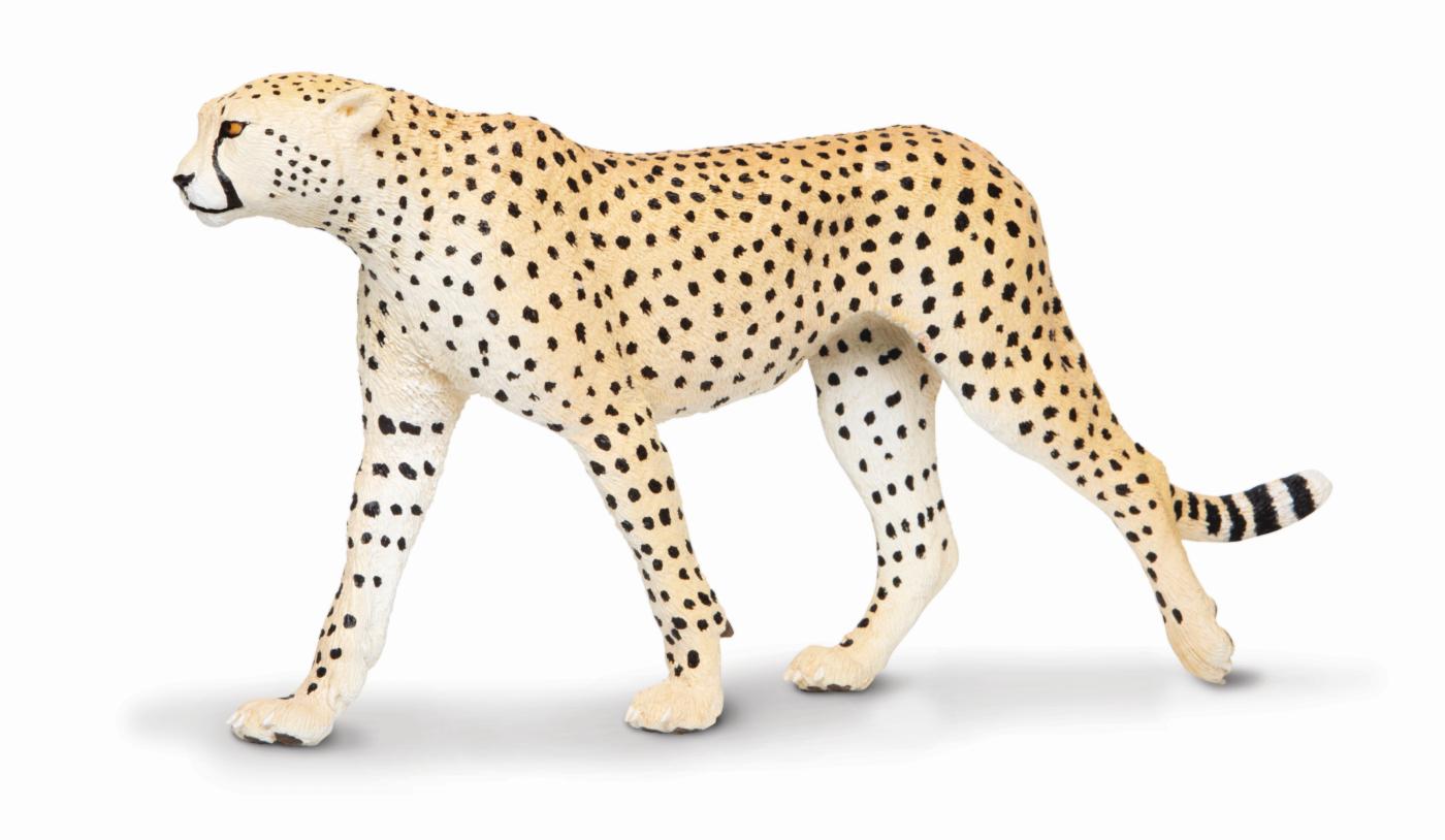 Safari Ltd Gepard 1128 ca.21x3x10cm