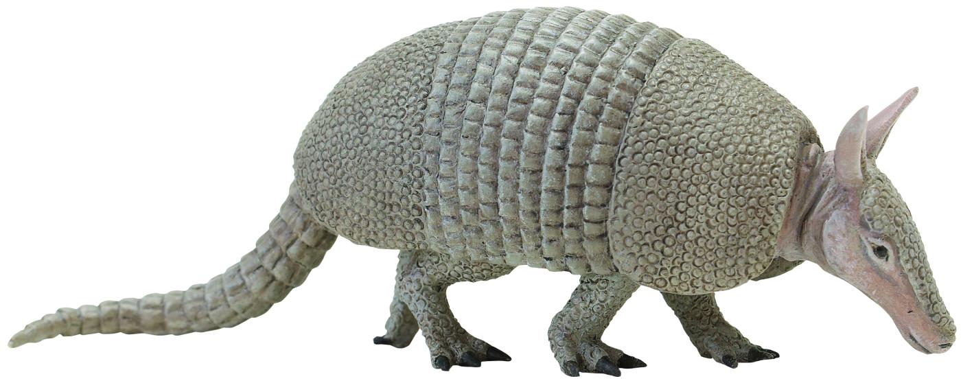Safari Ltd G�rteltier 2628 ca.16x4x6cm