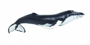 Safari Ltd  2020 Humpback Whale - animal figures at spielzeug-guenstig.de
