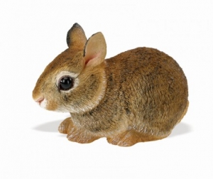 Safari Ltd  2621 Kaninchenbaby - Tierfiguren bei spielzeug-guenstig.de
