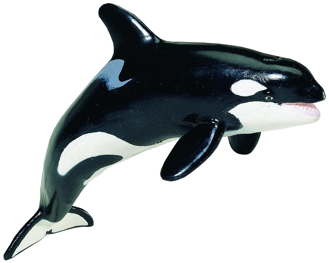 Safari ltd shop killer whale
