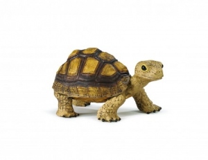 Safari Ltd  2586 Landschildkr�te - Tierfiguren bei spielzeug-guenstig.de