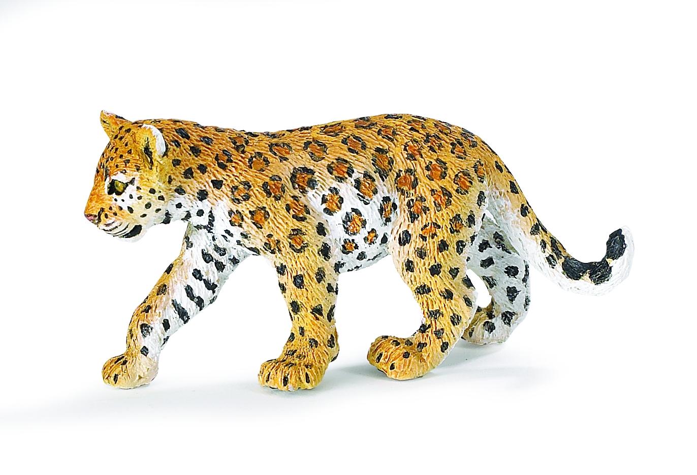 safari leopard collection