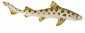Safari Ltd  2749 Leopardenhai - Tierfiguren - Figuren bei spielzeug-guenstig.de