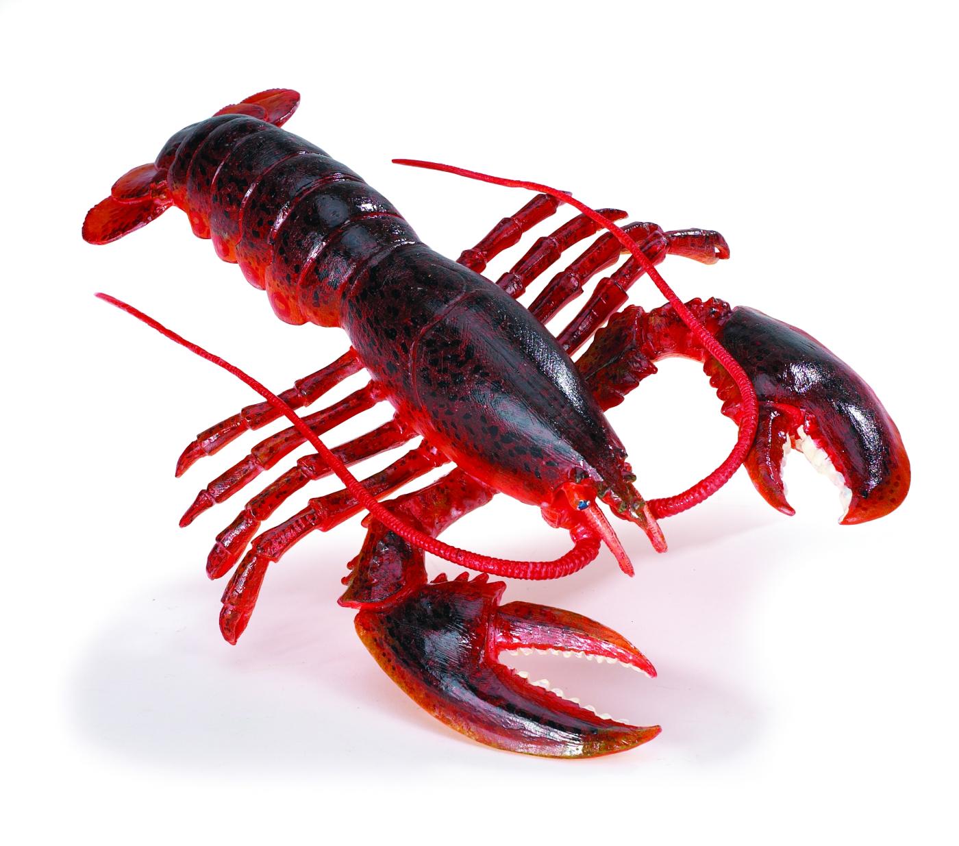 Maine Lobster Incredible Creatures Figure Safari Ltd NEW Toys Educational 