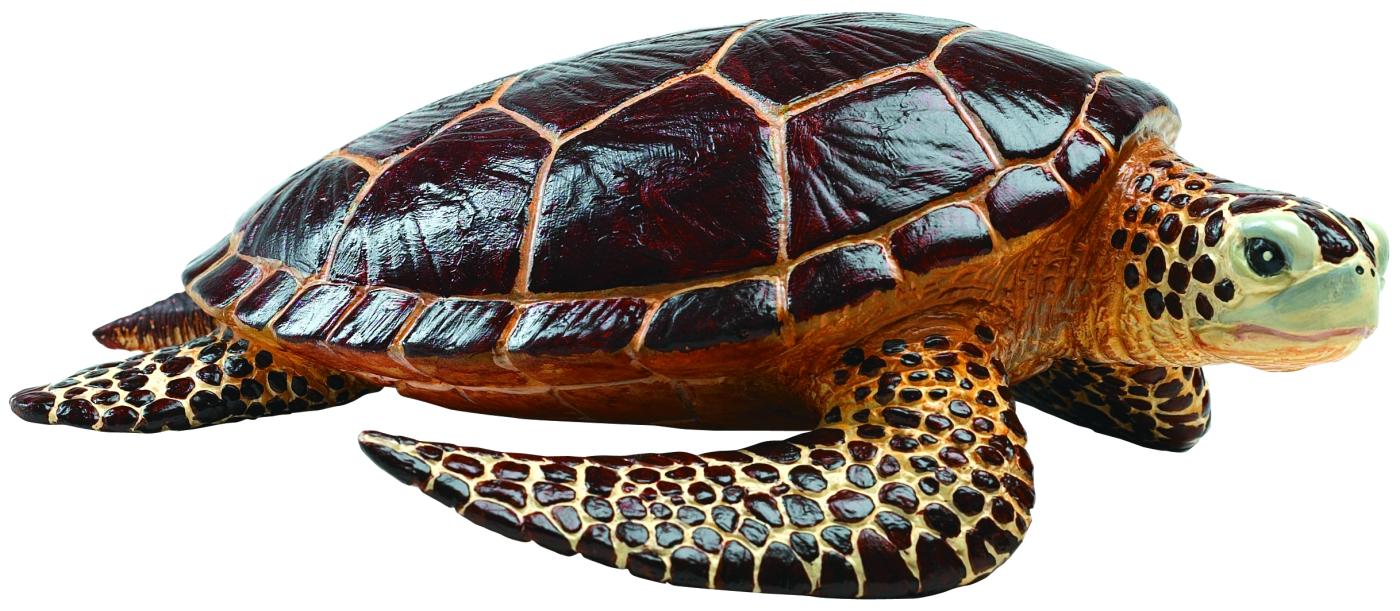 Safari Ltd Meeresschildkr�te 2604 ca.20.5x17x6.7cm